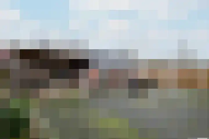 Schoterlandseweg 18 Oudeschoot thumbnail 41