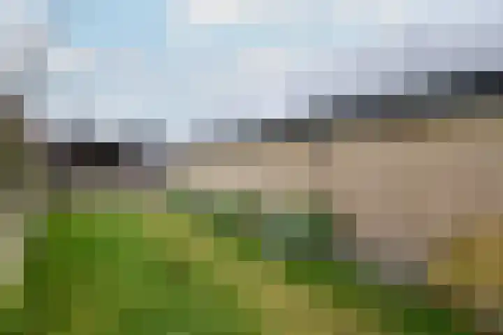Schoterlandseweg 18 Oudeschoot thumbnail 44