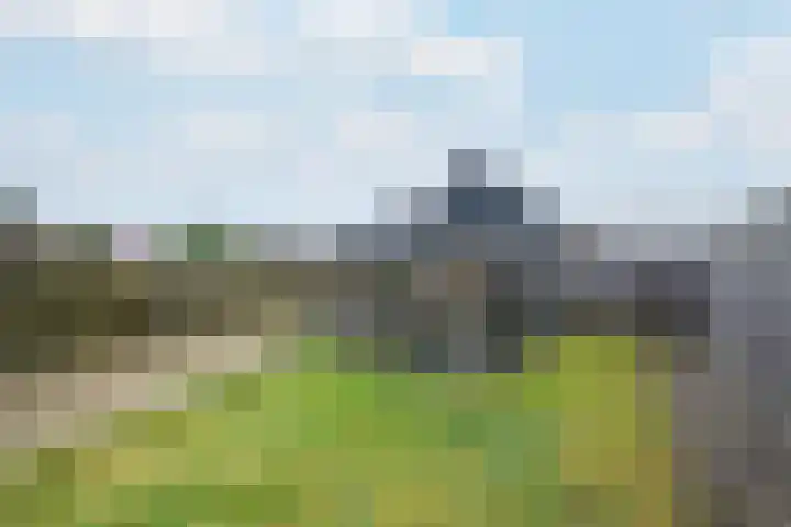 Schoterlandseweg 18 Oudeschoot thumbnail 47