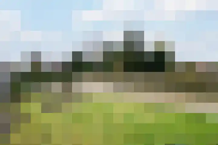 Schoterlandseweg 18 Oudeschoot thumbnail 48