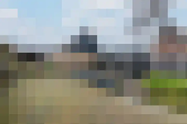 Schoterlandseweg 18 Oudeschoot thumbnail 51