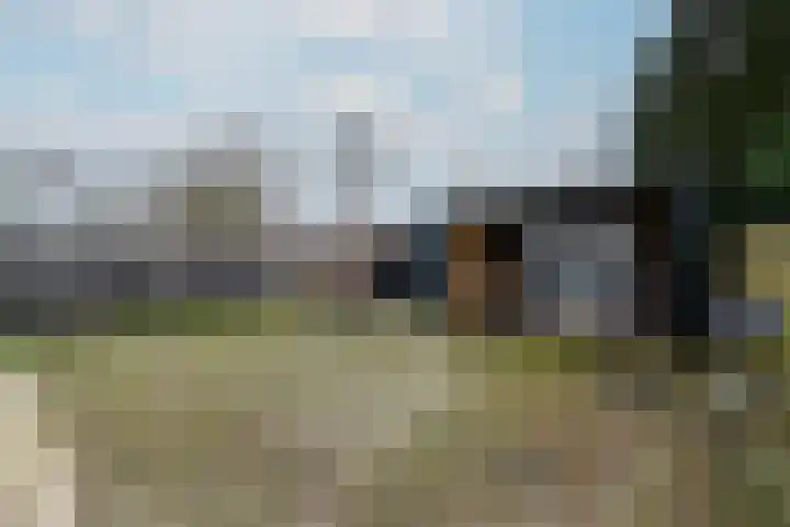 Schoterlandseweg 18 Oudeschoot thumbnail 53