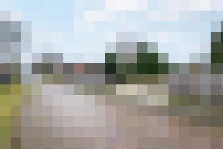 Schoterlandseweg 18 Oudeschoot thumbnail 55