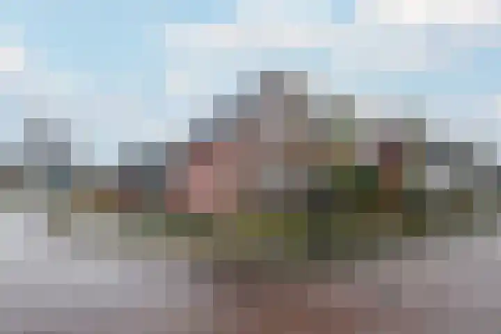 Schoterlandseweg 18 Oudeschoot thumbnail 57