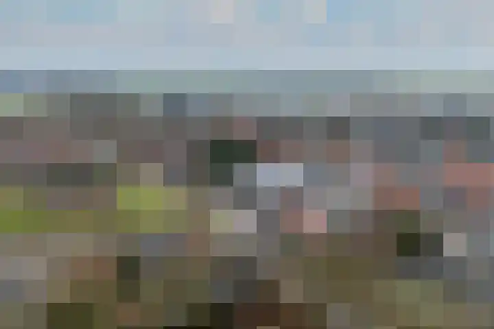 Schoterlandseweg 18 Oudeschoot thumbnail 65