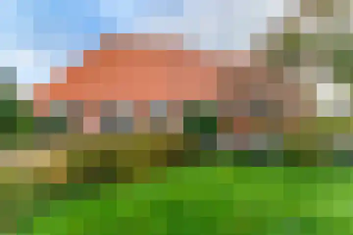 Schoterlandseweg 189 Jubbega thumbnail 4
