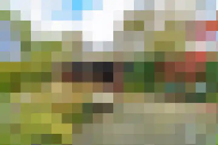 Schoterlandseweg 189 Jubbega thumbnail 5