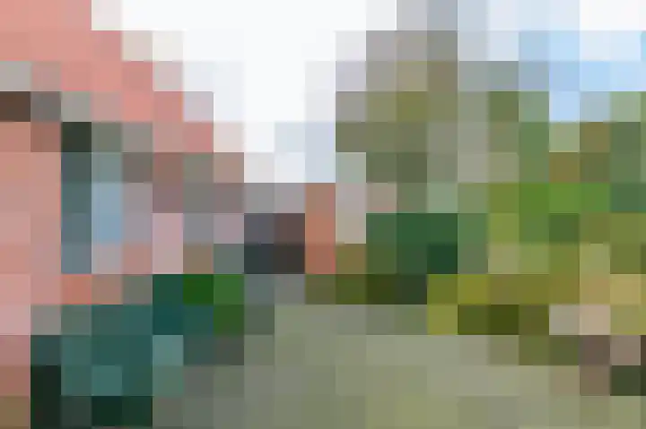 Schoterlandseweg 189 Jubbega thumbnail 52