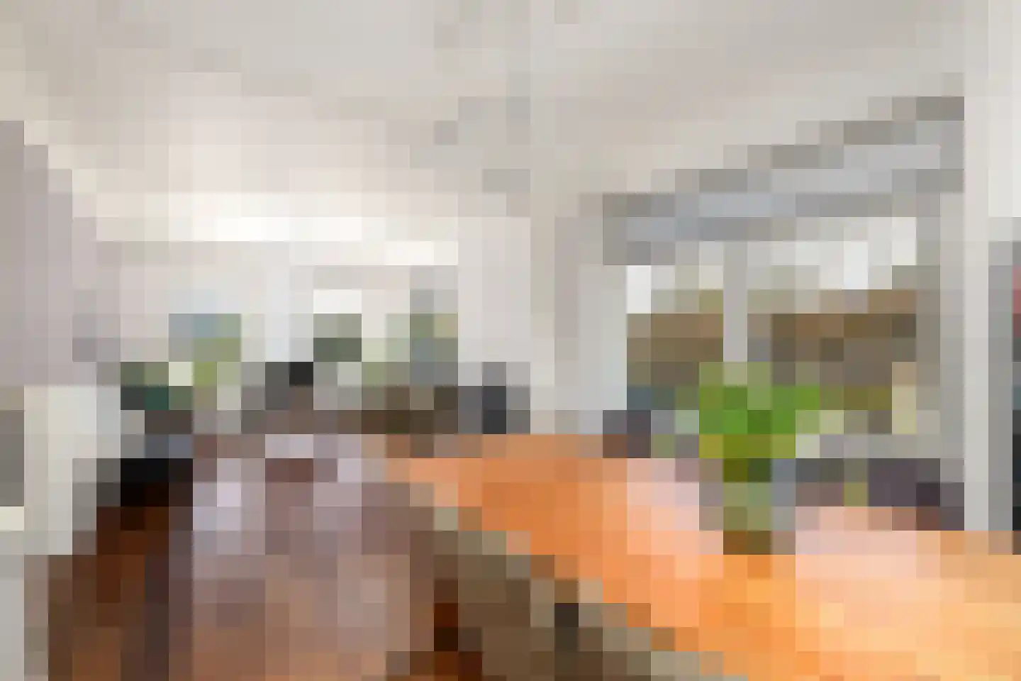 Schoterlandseweg 21 Oudehorne thumbnail 10