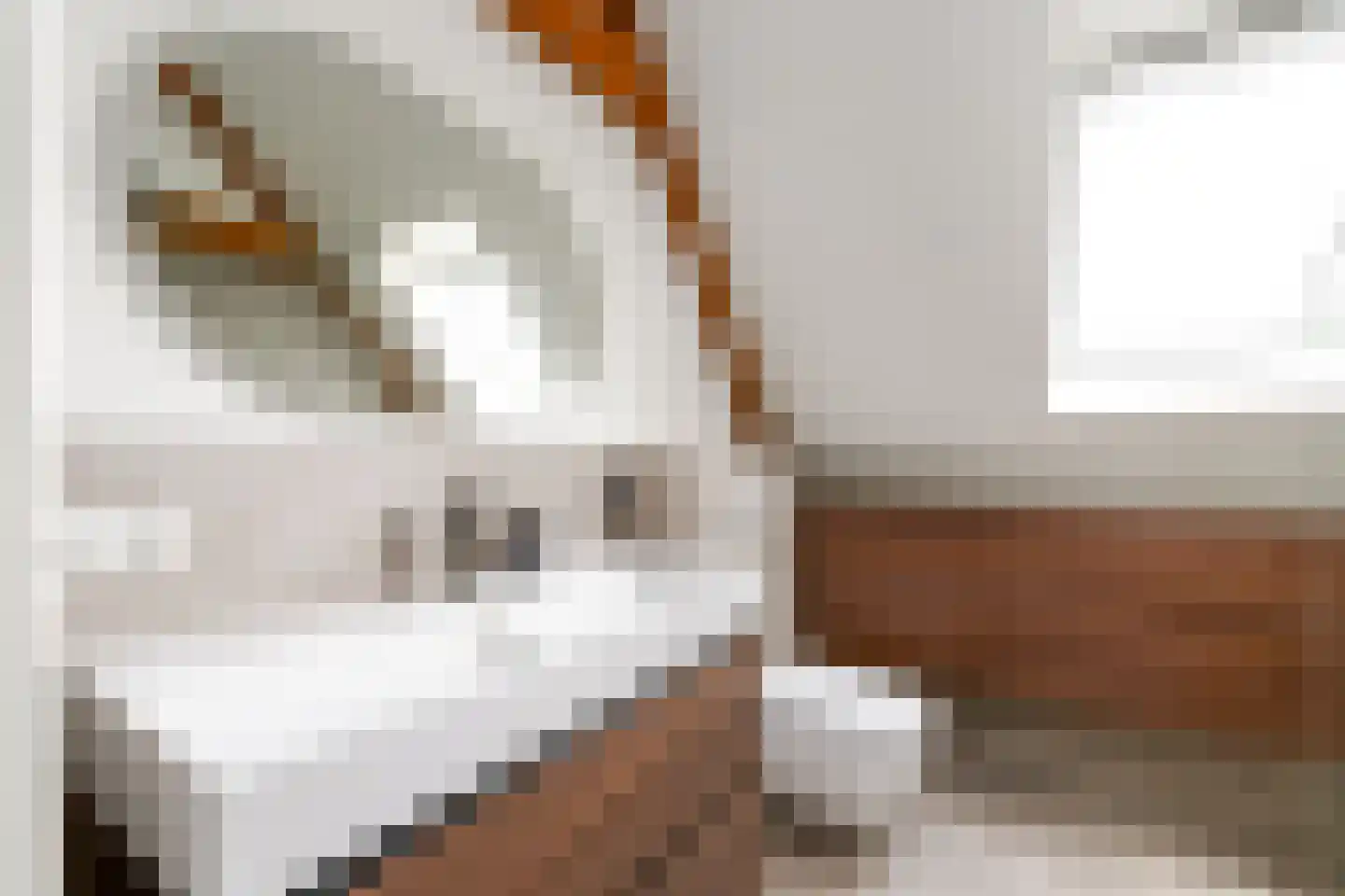 Schoterlandseweg 21 Oudehorne thumbnail 33