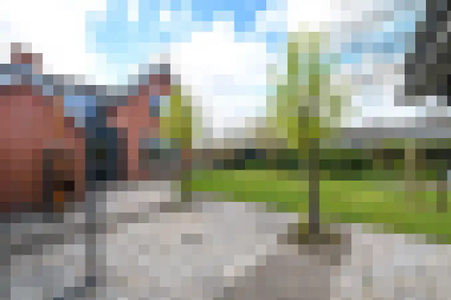 Schoterlandseweg 21 Oudehorne thumbnail 37