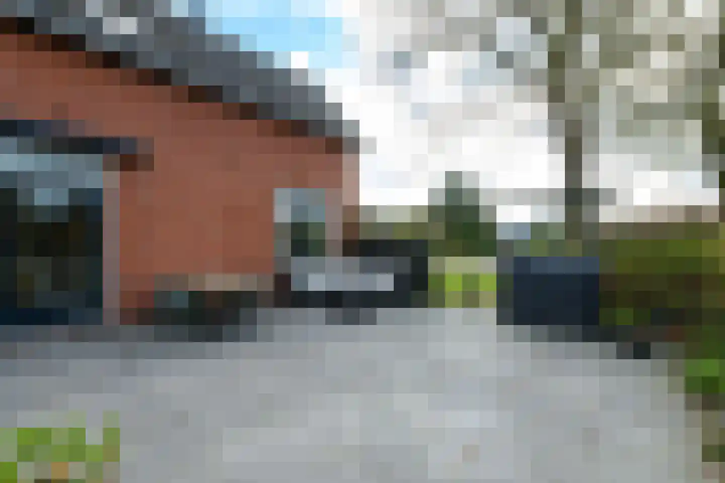 Schoterlandseweg 21 Oudehorne thumbnail 43