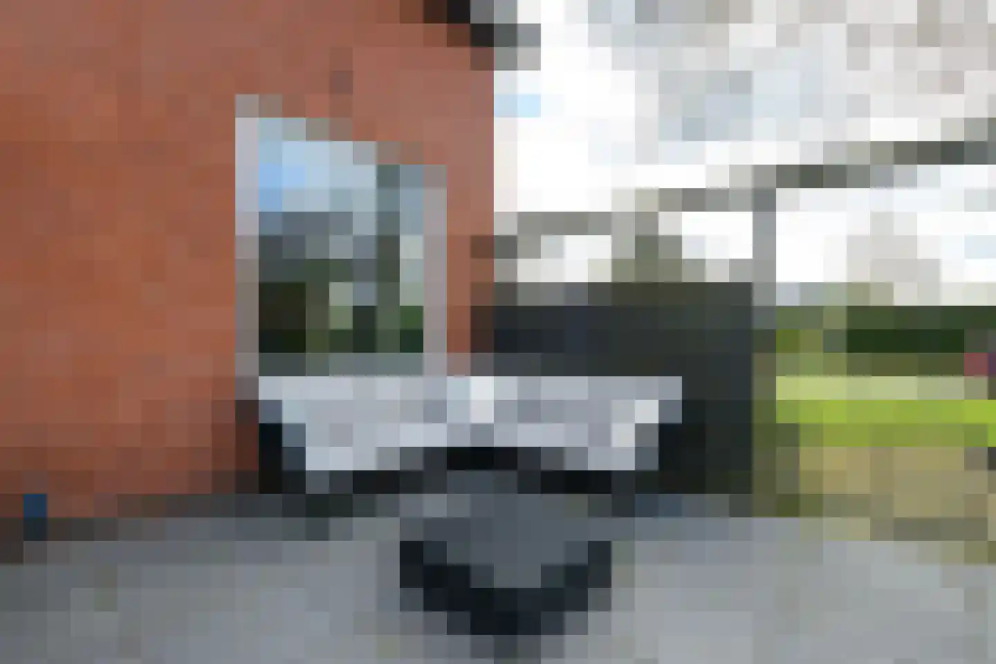 Schoterlandseweg 21 Oudehorne thumbnail 45