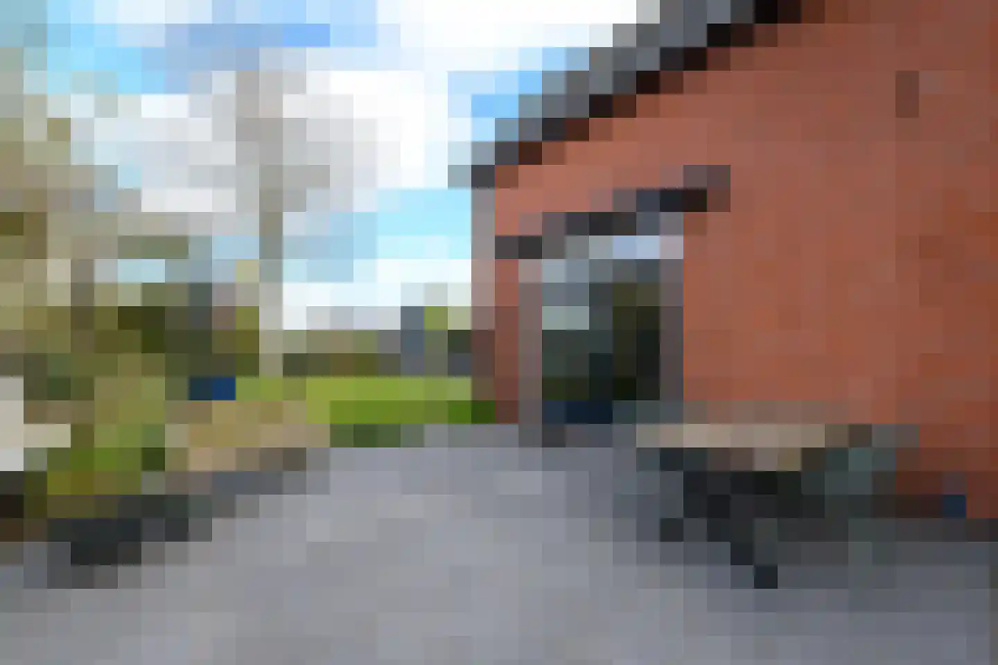 Schoterlandseweg 21 Oudehorne thumbnail 47