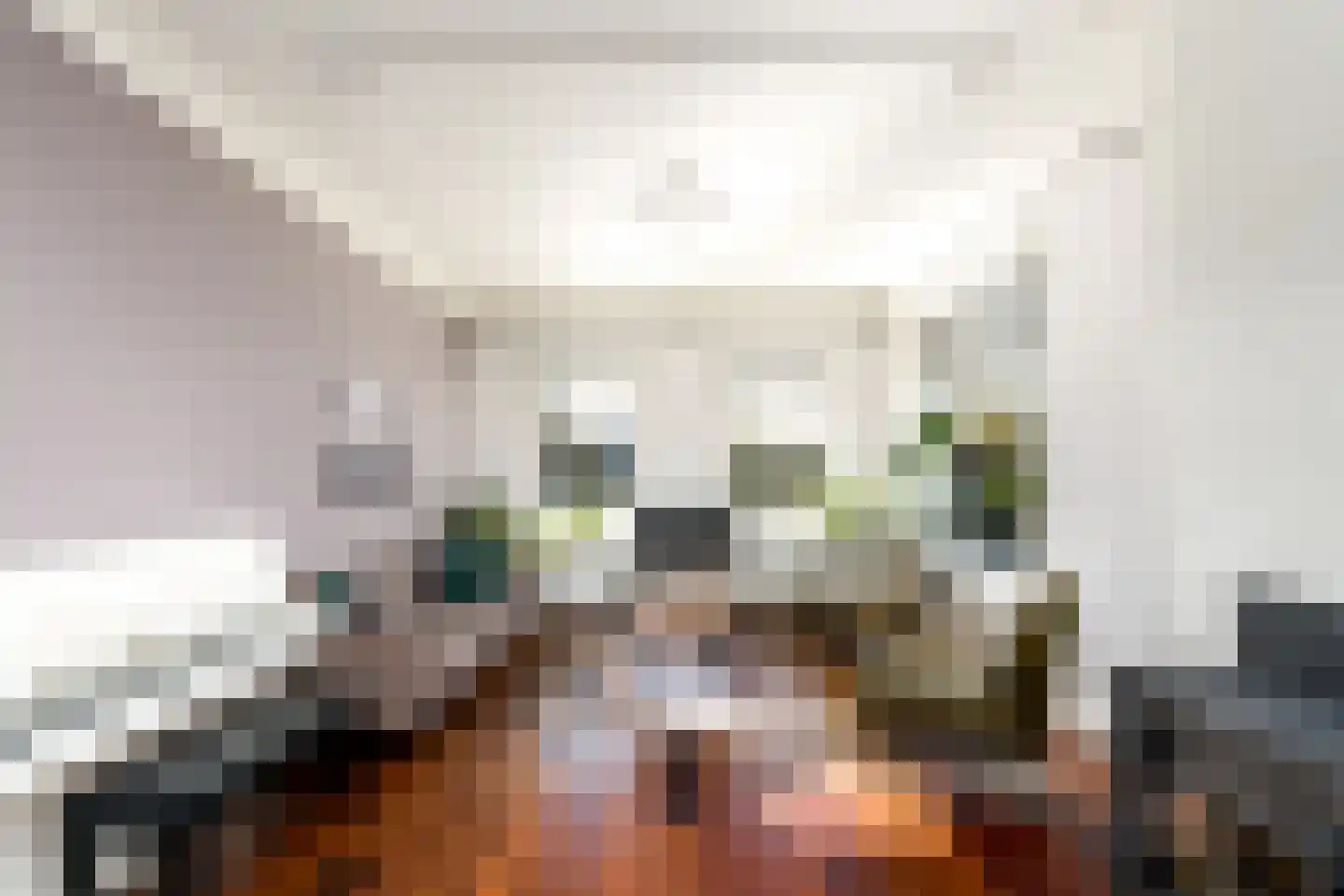 Schoterlandseweg 21 Oudehorne thumbnail 5