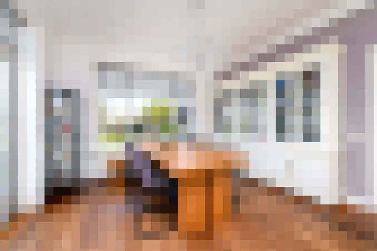 Schoterlandseweg 21 Oudehorne thumbnail 7