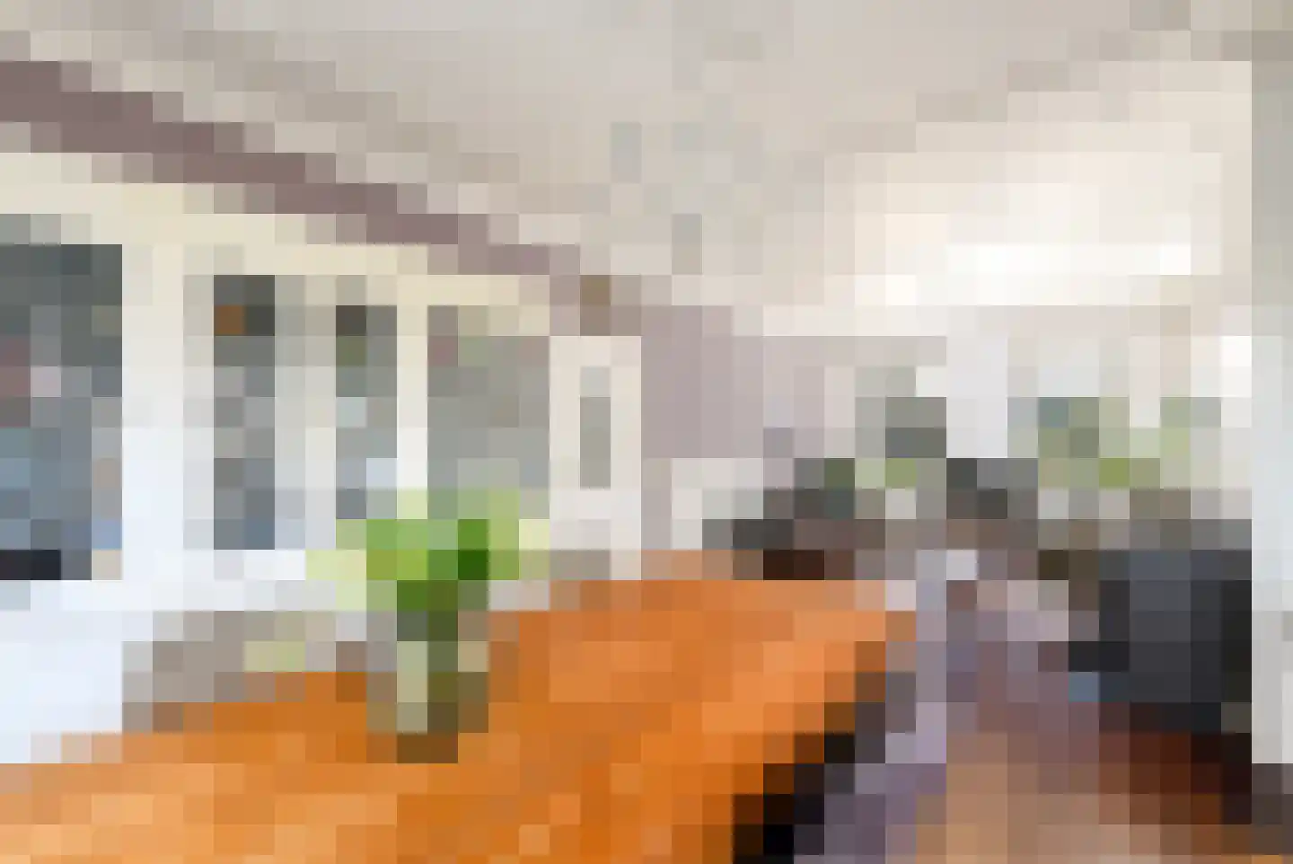 Schoterlandseweg 21 Oudehorne thumbnail 9