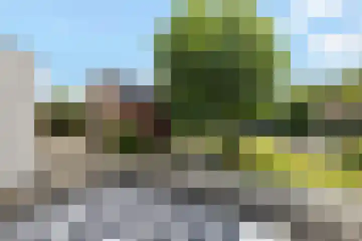 Schoterlandseweg 24 Nieuwehorne thumbnail 18