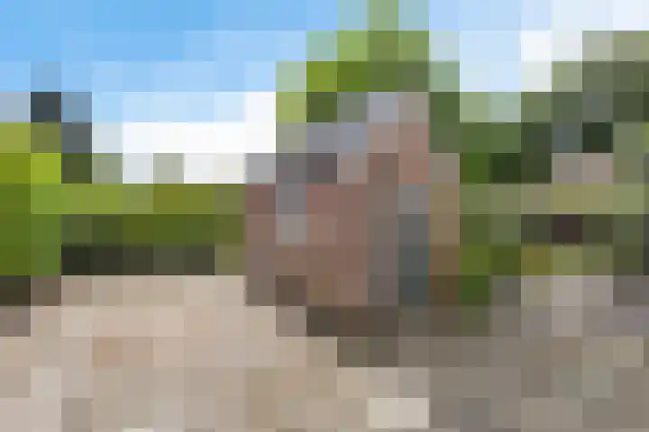 Schoterlandseweg 24 Nieuwehorne thumbnail 20
