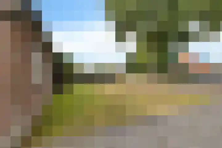 Schoterlandseweg 24 Nieuwehorne thumbnail 22
