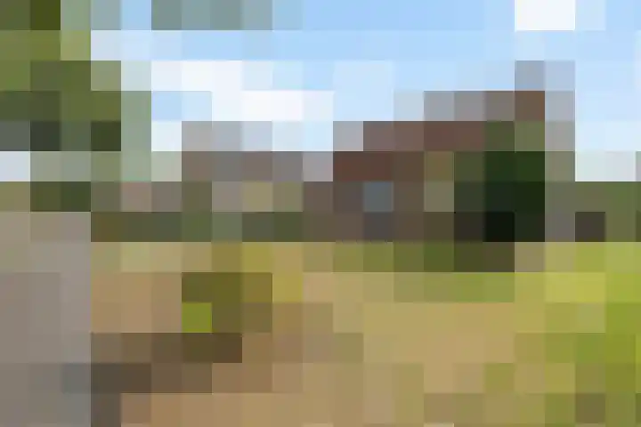Schoterlandseweg 24 Nieuwehorne thumbnail 4