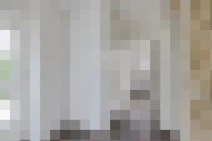 Schoterlandseweg 24 Nieuwehorne thumbnail 6