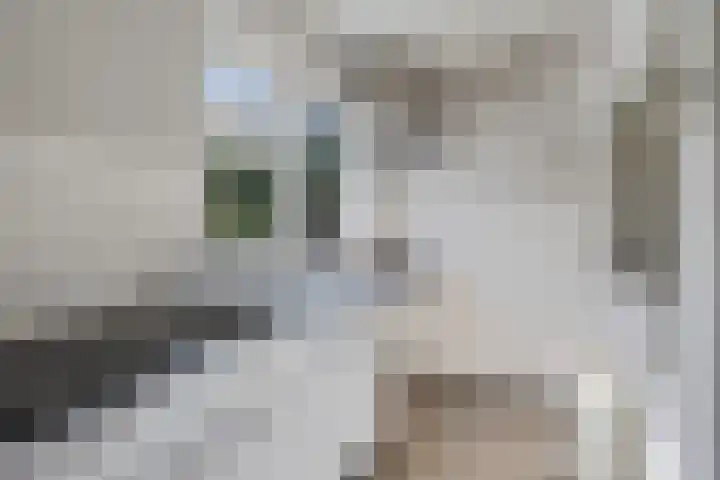 Schoterlandseweg 24 Nieuwehorne thumbnail 7