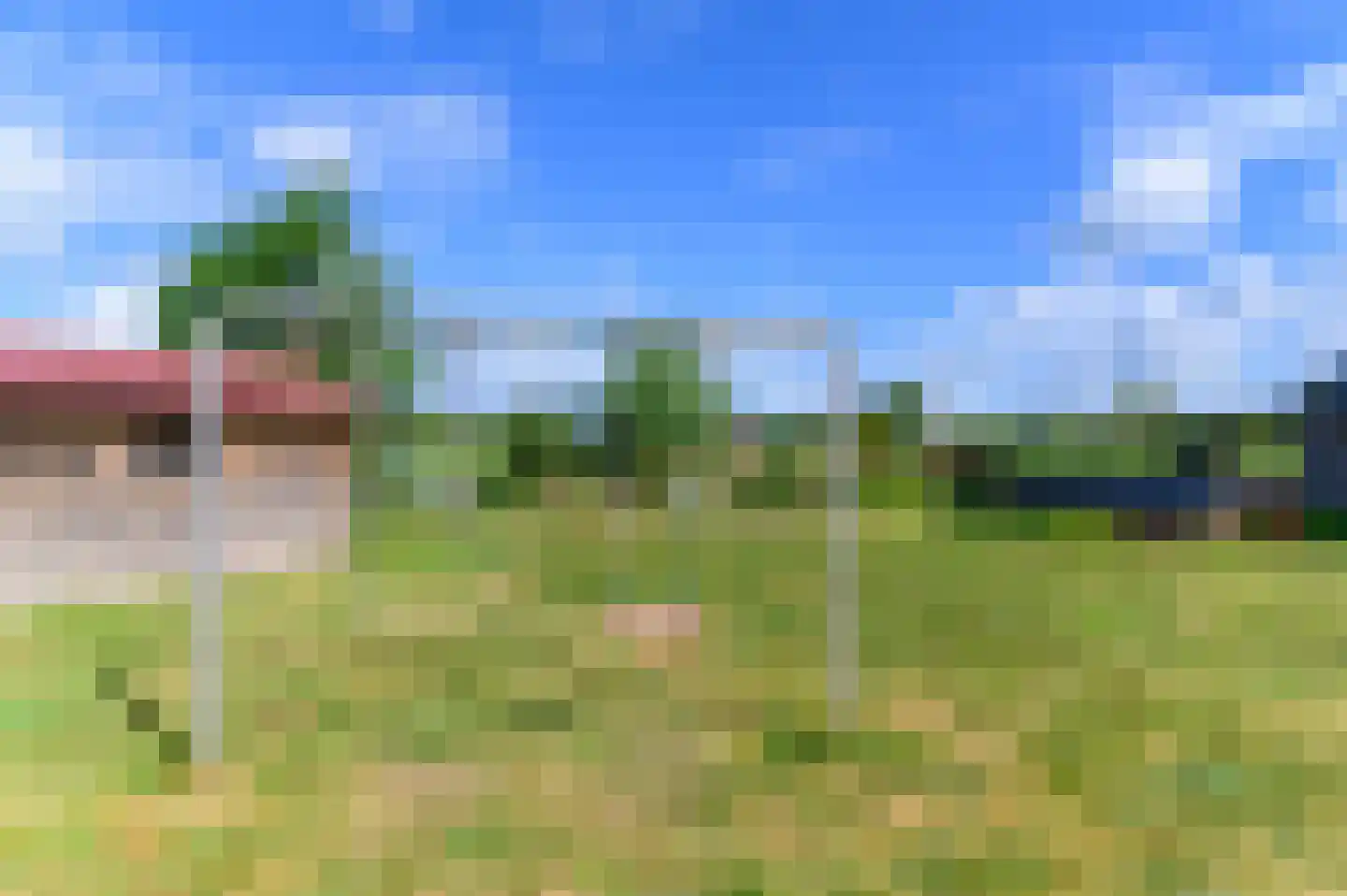 Schoterlandseweg 25 Jubbega thumbnail 18