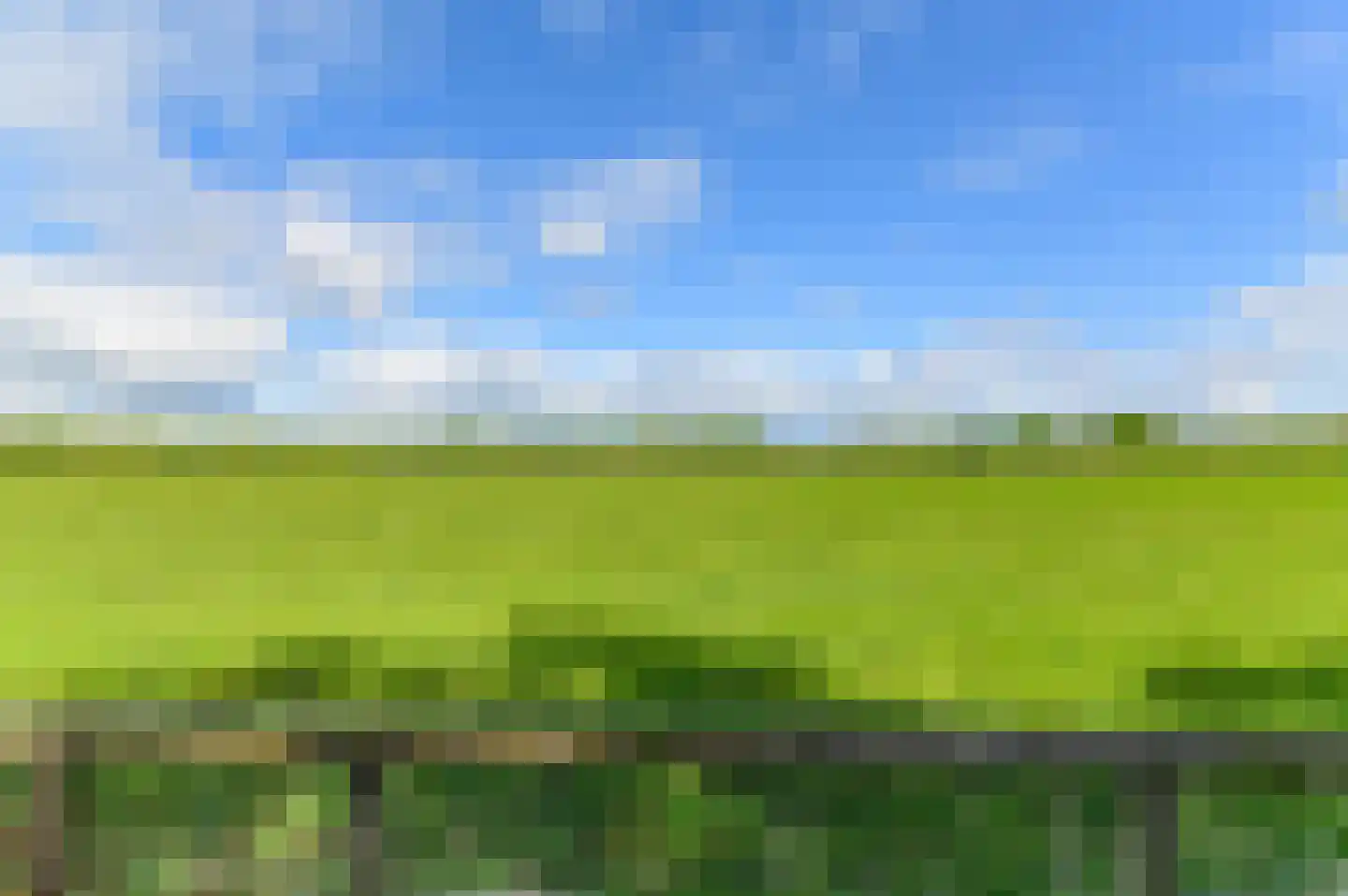 Schoterlandseweg 25 Jubbega thumbnail 21