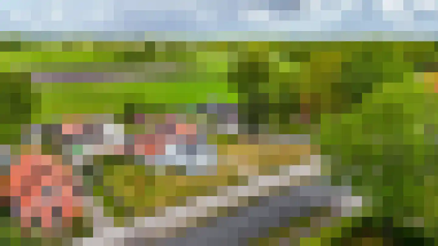 Schoterlandseweg 25 Jubbega thumbnail 30