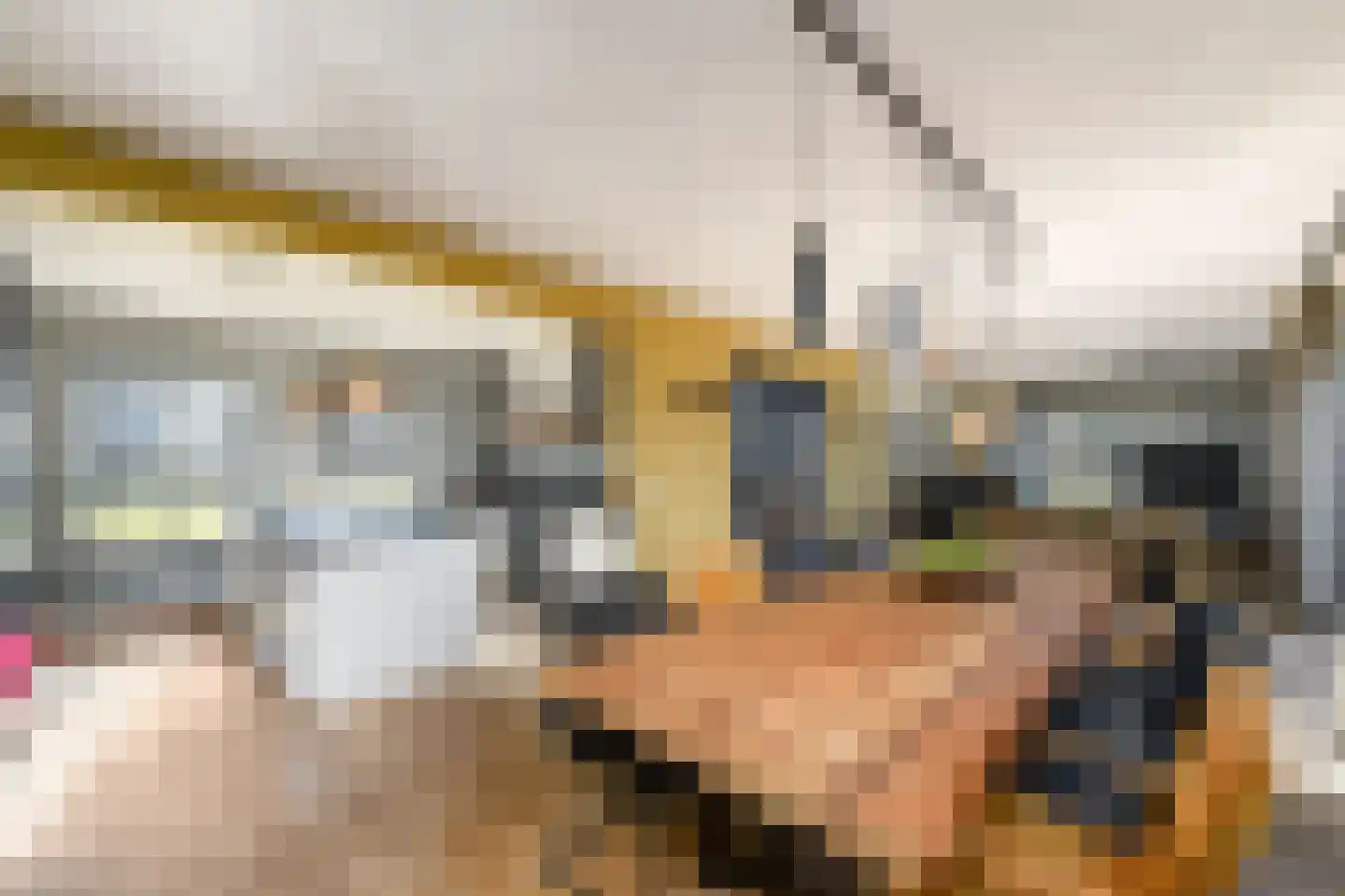 Schoterlandseweg 29 Katlijk thumbnail 11