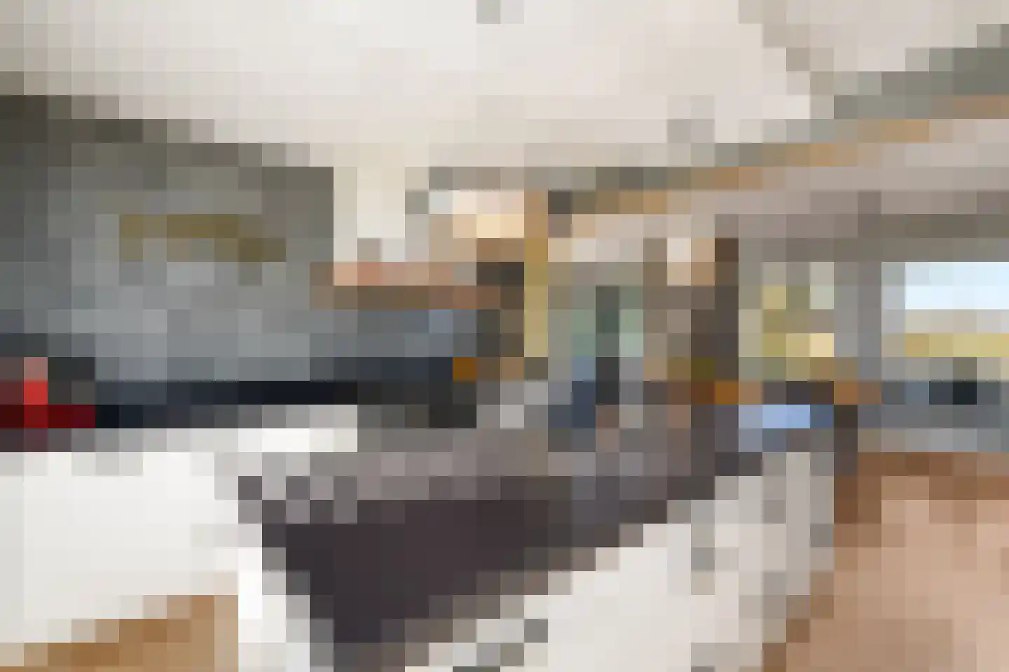 Schoterlandseweg 29 Katlijk thumbnail 18