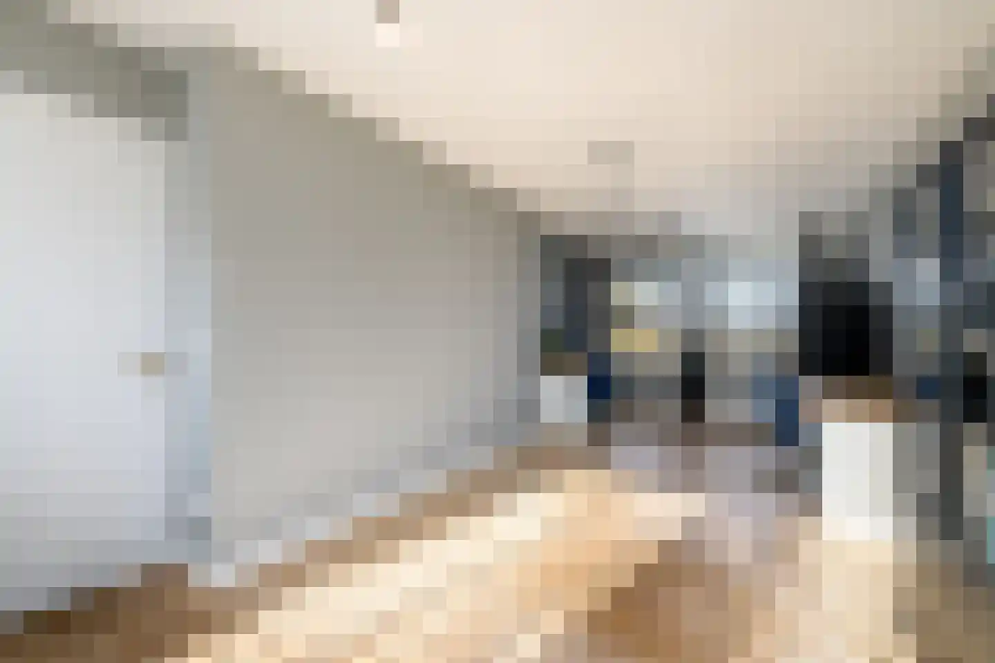 Schoterlandseweg 29 Katlijk thumbnail 24