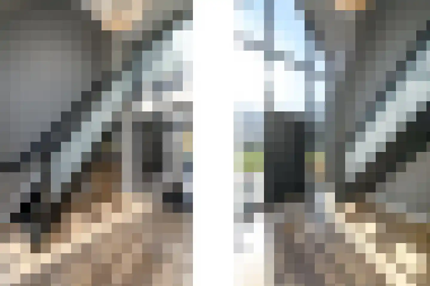 Schoterlandseweg 29 Katlijk thumbnail 27