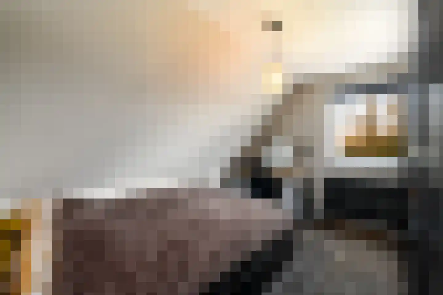Schoterlandseweg 29 Katlijk thumbnail 34