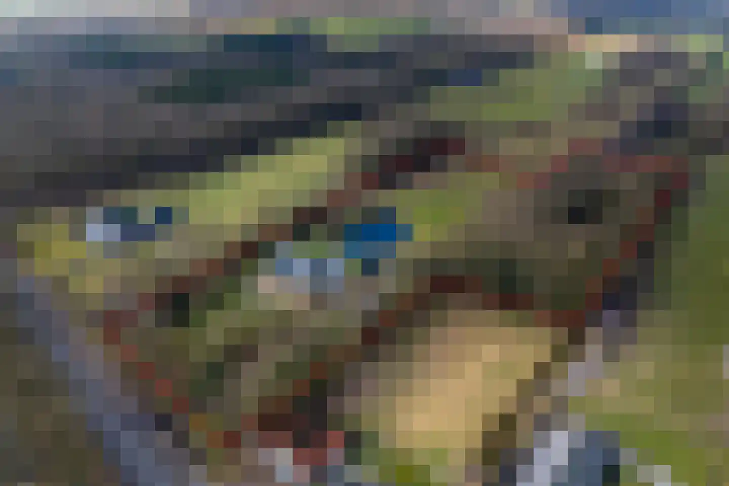 Schoterlandseweg 29 Katlijk thumbnail 4