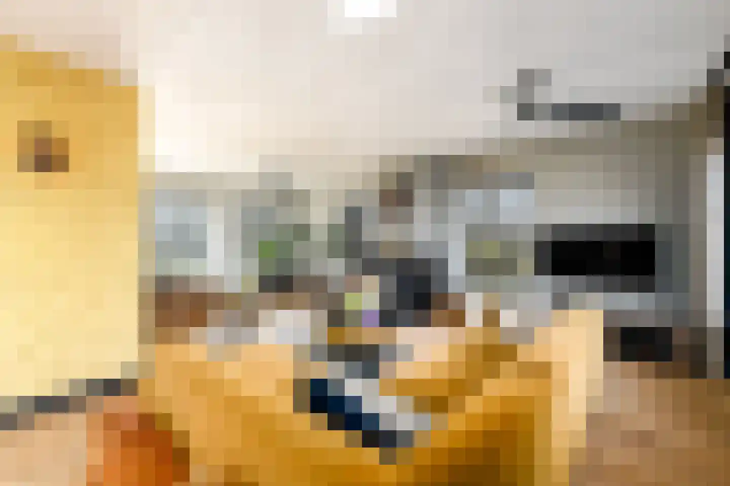 Schoterlandseweg 29 Katlijk thumbnail 6