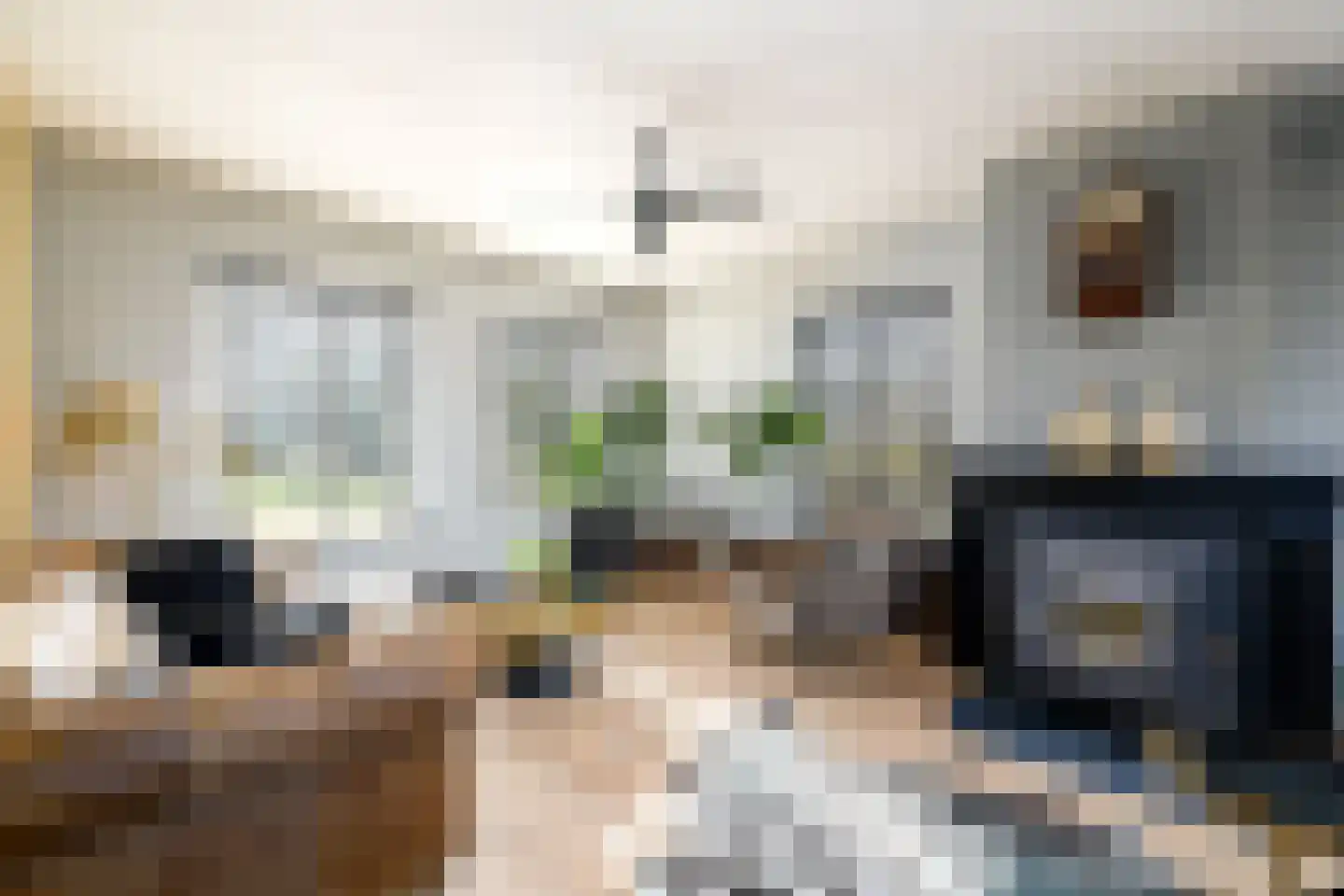Schoterlandseweg 29 Katlijk thumbnail 7