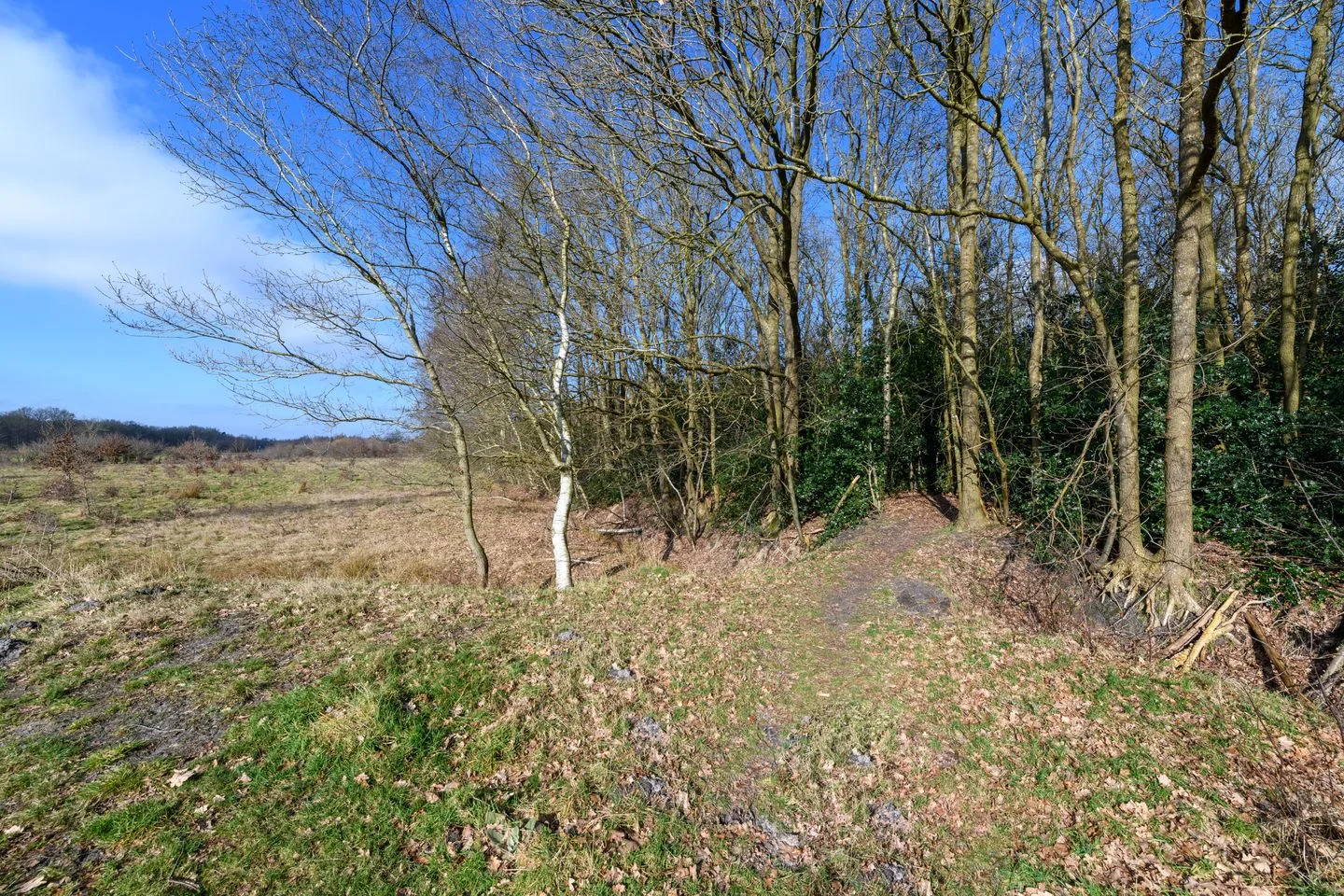 Schoterlandseweg 29 Katlijk thumbnail 72