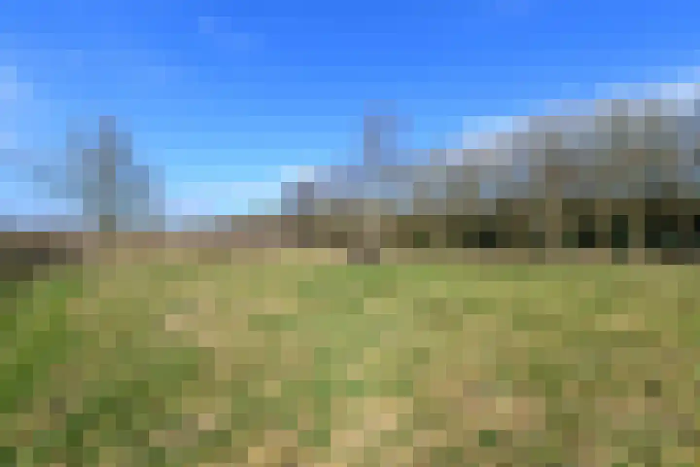 Schoterlandseweg 29 Katlijk thumbnail 73
