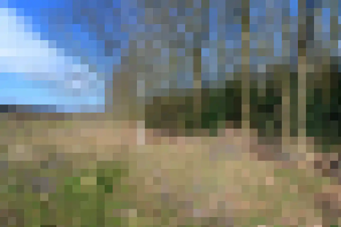 Schoterlandseweg 29 Katlijk thumbnail 75