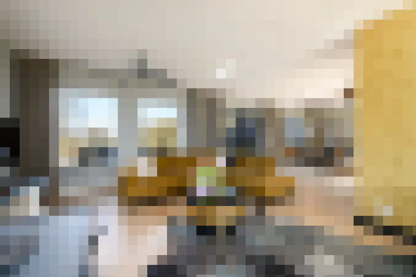 Schoterlandseweg 29 Katlijk thumbnail 8