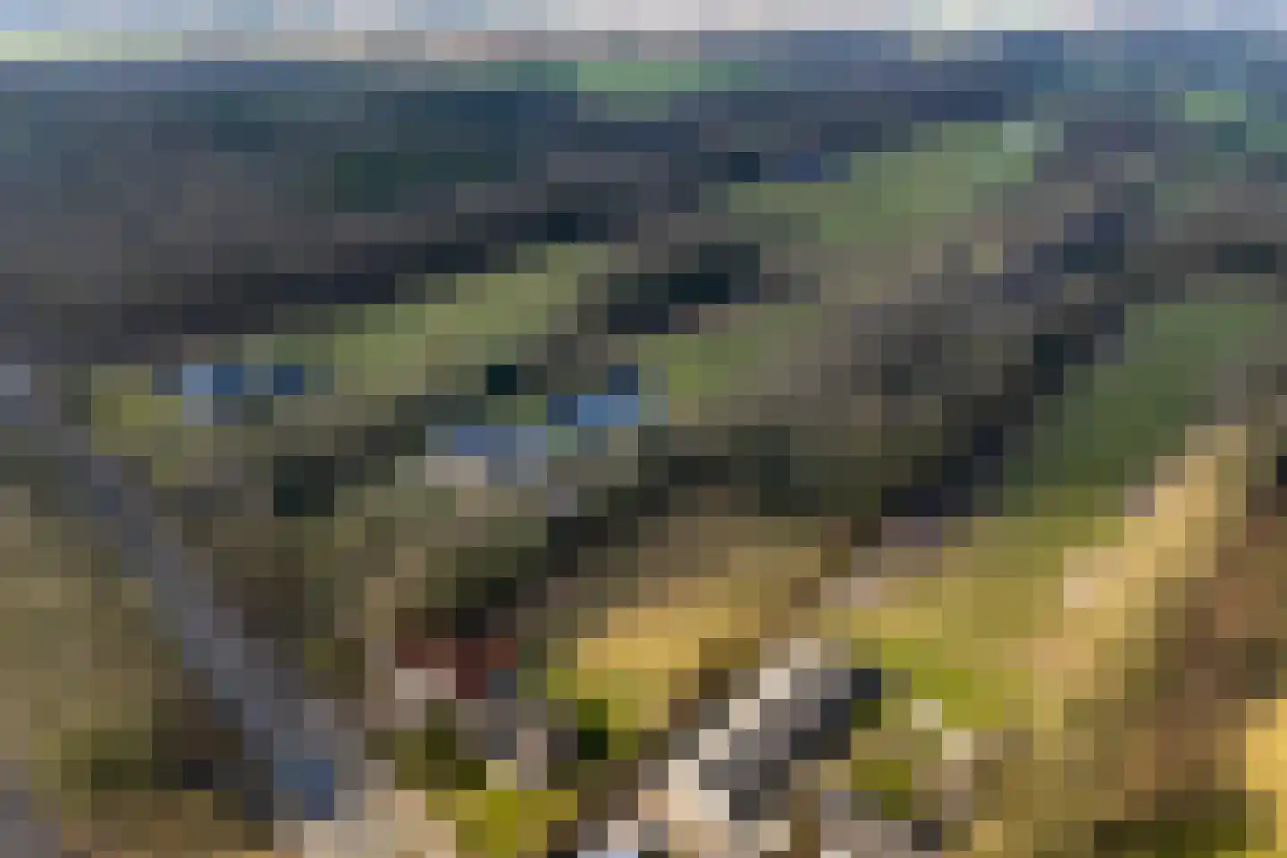Schoterlandseweg 29 Katlijk thumbnail 85