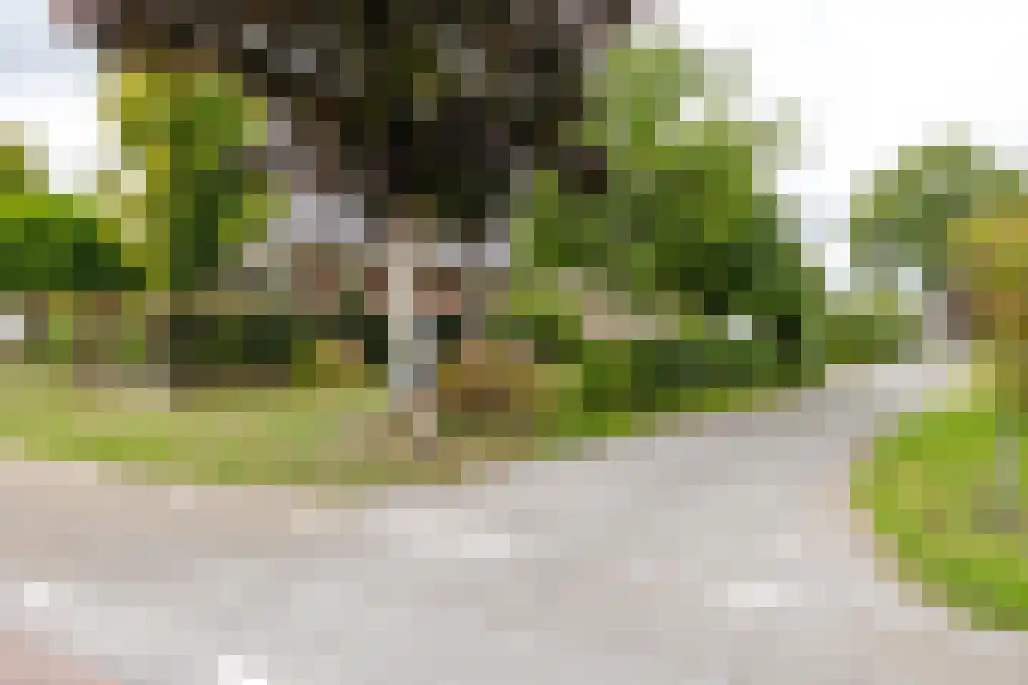 Schoterlandseweg 29 Oudehorne thumbnail 10