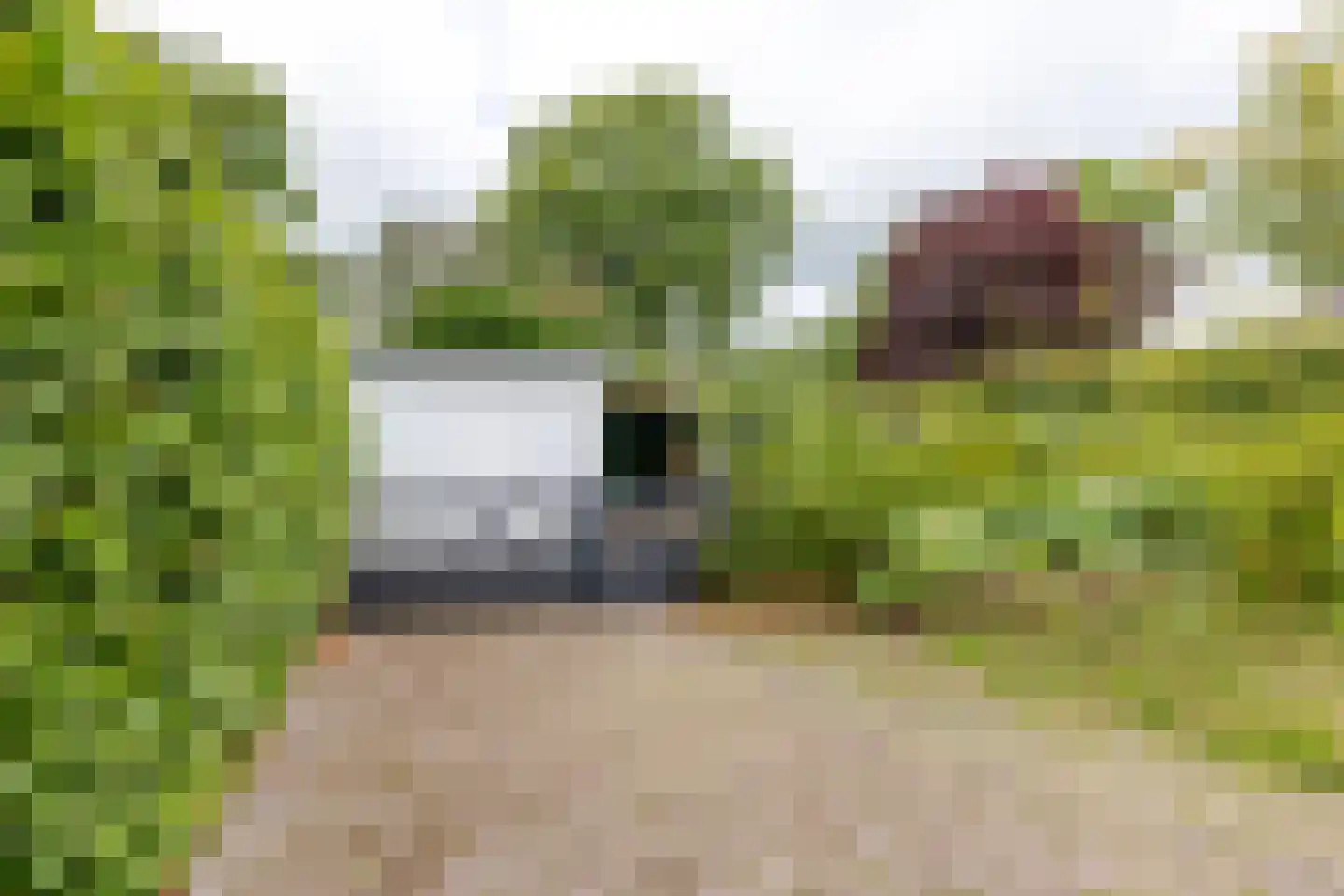 Schoterlandseweg 29 Oudehorne thumbnail 14