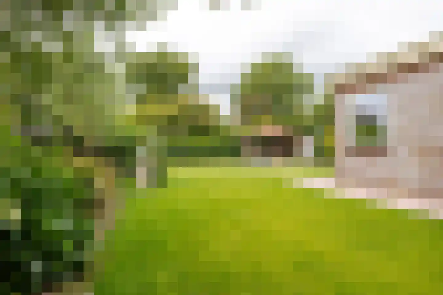 Schoterlandseweg 29 Oudehorne thumbnail 16
