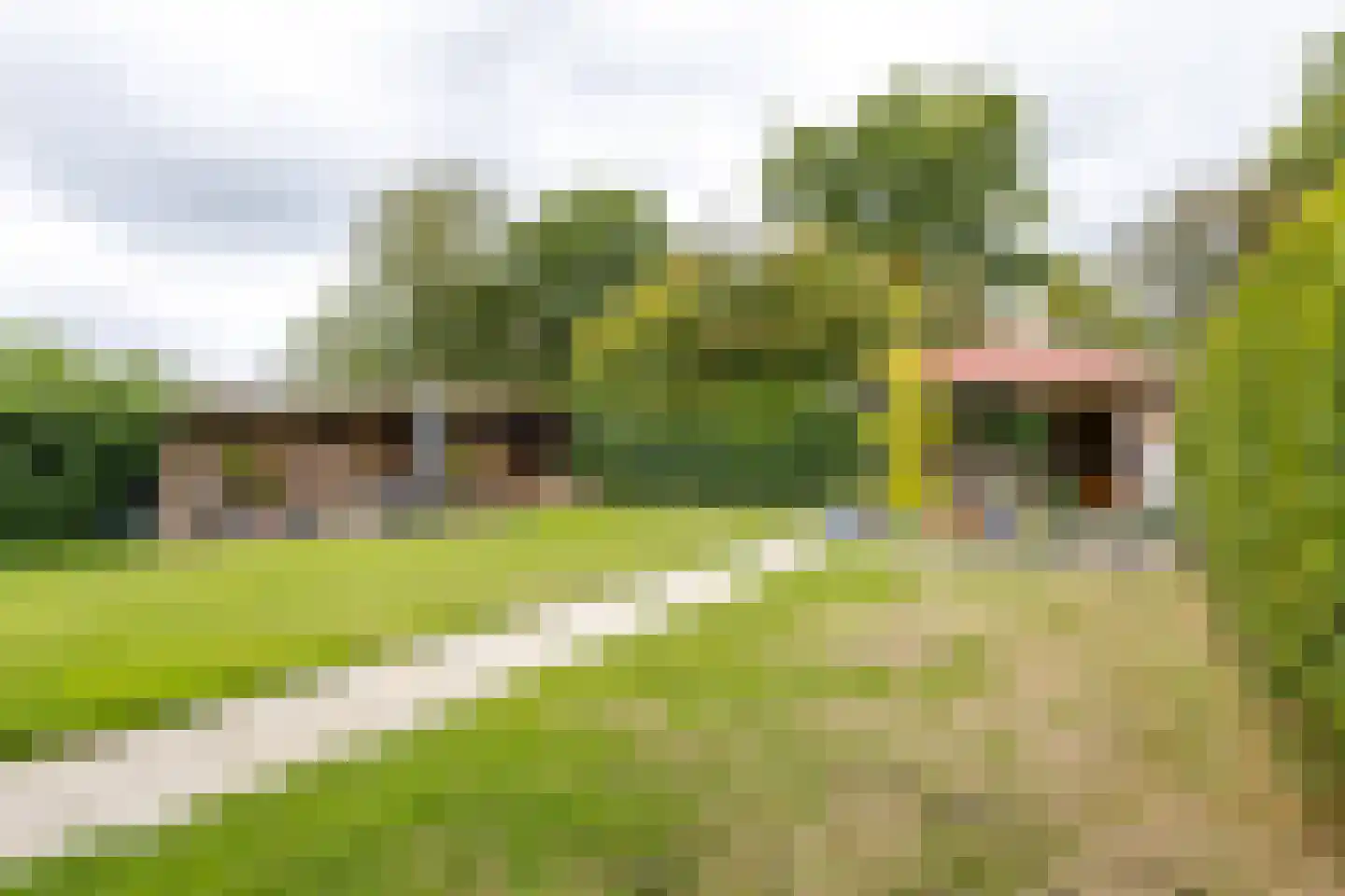 Schoterlandseweg 29 Oudehorne thumbnail 17