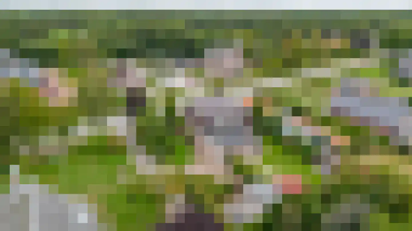 Schoterlandseweg 29 Oudehorne thumbnail 19