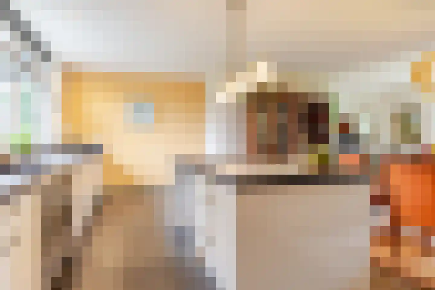 Schoterlandseweg 29 Oudehorne thumbnail 33