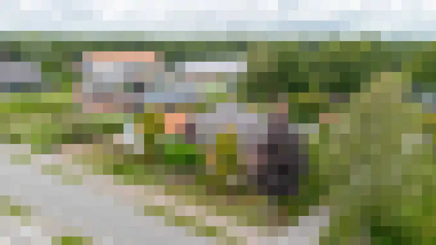 Schoterlandseweg 29 Oudehorne thumbnail 8
